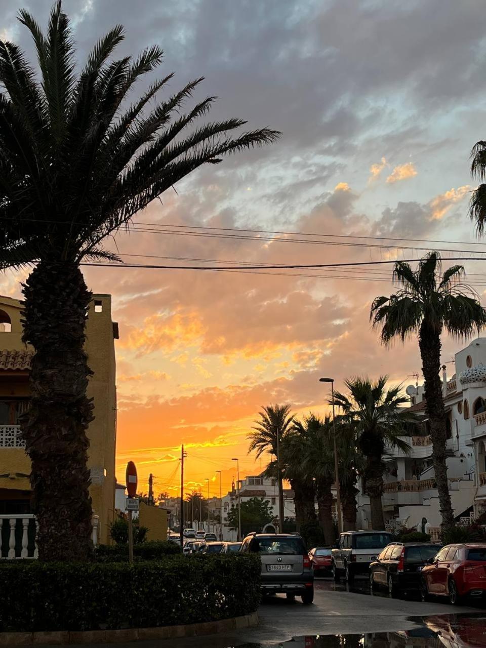 Solymar Torrevieja Daire Dış mekan fotoğraf